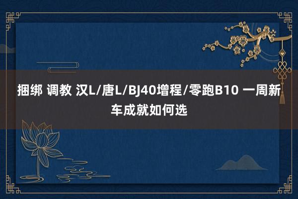 捆绑 调教 汉L/唐L/BJ40增程/零跑B10 一周新车成就如何选