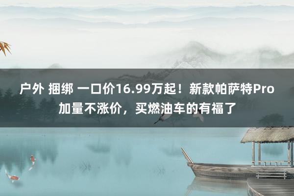 户外 捆绑 一口价16.99万起！新款帕萨特Pro加量不涨价，买燃油车的有福了