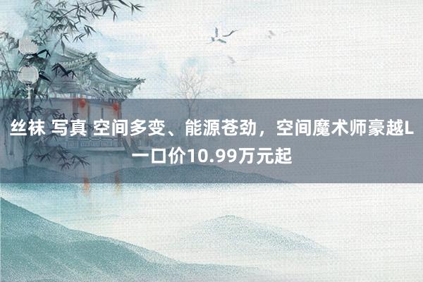 丝袜 写真 空间多变、能源苍劲，空间魔术师豪越L一口价10.99万元起