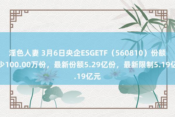 淫色人妻 3月6日央企ESGETF（560810）份额减少100.00万份，最新份额5.29亿份，最新限制5.19亿元