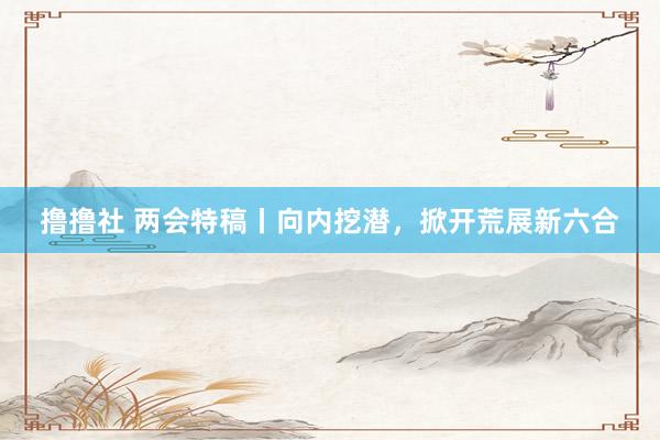 撸撸社 两会特稿丨向内挖潜，掀开荒展新六合