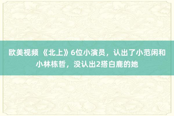 欧美视频 《北上》6位小演员，认出了小范闲和小林栋哲，没认出2搭白鹿的她