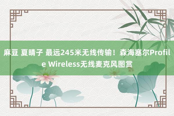 麻豆 夏晴子 最远245米无线传输！森海塞尔Profile Wireless无线麦克风图赏