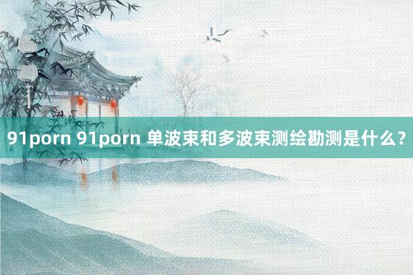 91porn 91porn 单波束和多波束测绘勘测是什么？