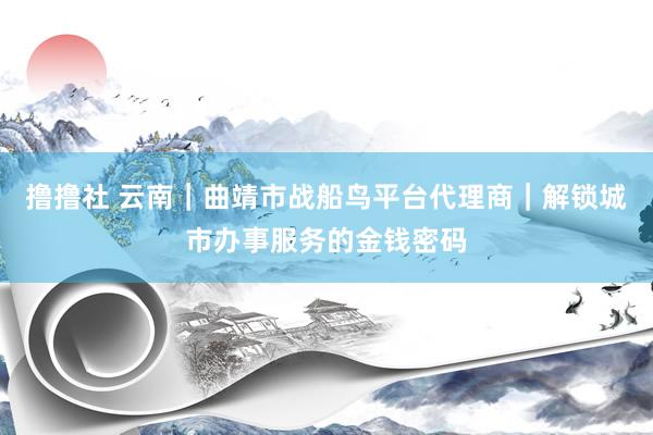撸撸社 云南｜曲靖市战船鸟平台代理商｜解锁城市办事服务的金钱密码