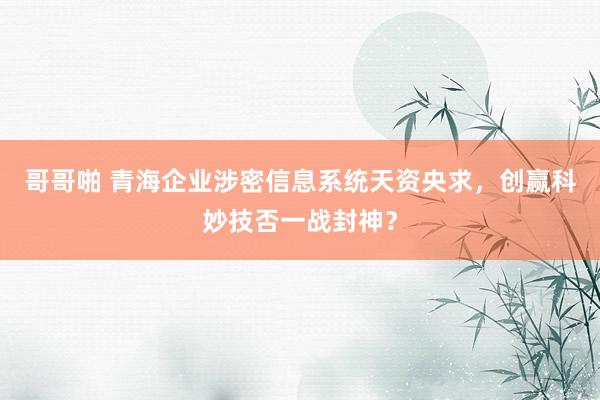 哥哥啪 青海企业涉密信息系统天资央求，创赢科妙技否一战封神？