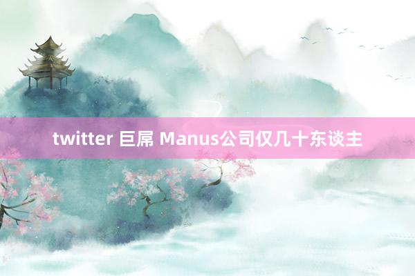 twitter 巨屌 Manus公司仅几十东谈主