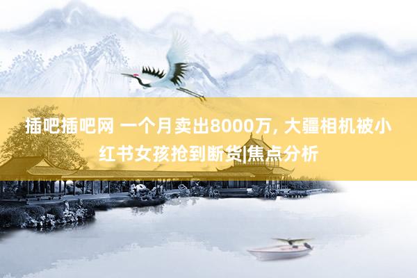 插吧插吧网 一个月卖出8000万, 大疆相机被小红书女孩抢到断货|焦点分析
