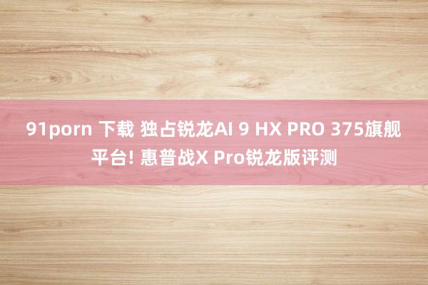 91porn 下载 独占锐龙AI 9 HX PRO 375旗舰平台! 惠普战X Pro锐龙版评测