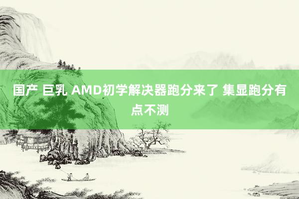 国产 巨乳 AMD初学解决器跑分来了 集显跑分有点不测