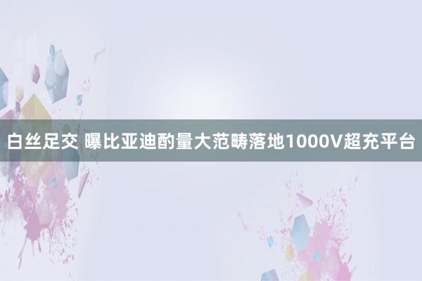 白丝足交 曝比亚迪酌量大范畴落地1000V超充平台