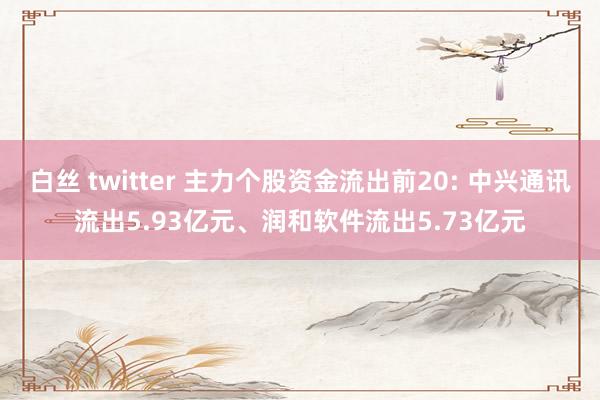 白丝 twitter 主力个股资金流出前20: 中兴通讯流出5.93亿元、润和软件流出5.73亿元