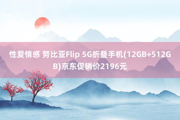性爱情感 努比亚Flip 5G折叠手机(12GB+512GB)京东促销价2196元