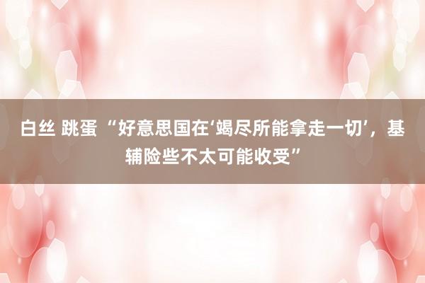 白丝 跳蛋 “好意思国在‘竭尽所能拿走一切’，基辅险些不太可能收受”