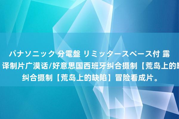 パナソニック 分電盤 リミッタースペース付 露出・半埋込両用形 译制片广漠话/好意思国西班牙纠合摄制【荒岛上的缺陷】冒险看成片。