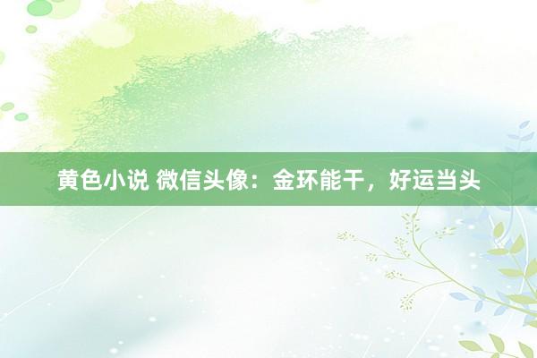 黄色小说 微信头像：金环能干，好运当头